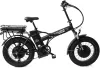 Электровелосипед Elbike TAIGA 3 Twix 2000 стандарт icon