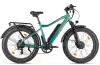 Электровелосипед Eltreco BigCat Dual Next (бирюзовый) icon