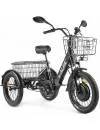 Электровелосипед Eltreco Green City e-ALFA Trike 2022 (черный) icon