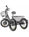 Электровелосипед Eltreco Green City e-ALFA Trike 2022 (черный) фото 5