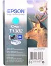 Картридж Epson C13T13024012 icon