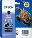 Картридж Epson C13T15784010 icon