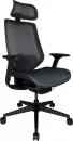 Офисное кресло ErgoSmart Sparta 3 Mesh (черный) icon