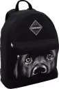 Школьный рюкзак Erich Krause EasyLine 17L Black Dog 60324 icon