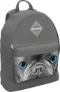 Рюкзак Erich Krause EasyLine 17L Grey Dog 60325 icon