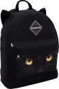 Школьный рюкзак Erich Krause EasyLine Animals 17L Black Cat 57280 icon