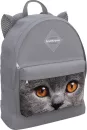 Школьный рюкзак Erich Krause EasyLine Animals 17L Grey Cat 57279 icon