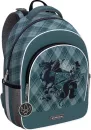 Школьный рюкзак Erich Krause ErgoLine 15L Dragon Emblem 57025 icon