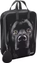 Городской рюкзак Erich Krause StreetLine 16L Black Dog 60343 icon