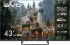 Телевизор Evo TV 43 Black TD0051752RU icon