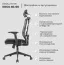 Кресло Evolution ERGO Bliss Black (черный) icon 6