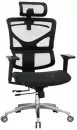 Кресло Evolution ERGO Mesh (черный) icon