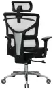 Кресло Evolution ERGO Mesh (черный) icon 2
