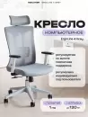 Компьютерное кресло EVOLUTION ErgoLine 4 (серый) icon 5