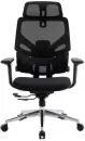 Офисное кресло Evolution LumbarPro AL (черный) icon 8