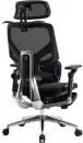 Офисное кресло Evolution LumbarPro Elite Black (черный) icon 3