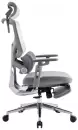 Офисное кресло Evolution LumbarPro Elite Grey (серый) icon 5