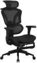 Компьютерное кресло Evolution LX 3 (Black) icon