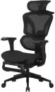 Компьютерное кресло Evolution LX 3 (Black) icon 6