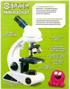 Микроскоп Эврики Юный биолог 4491908 фото 6