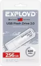 USB Flash Exployd 620 256GB (белый) icon