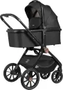 Детская универсальная коляска Farfello Belleza Comfort 2в1 / FBC-2 (черное золото) icon