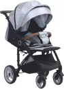 Детская прогулочная коляска Farfello Bino Angel Comfort 2 в 1 / BAC (серебристый) icon 2