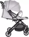 Детская прогулочная коляска Farfello Comfy Go Comfort / CG-305 (серый/черный) icon 2