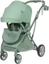 Детская прогулочная коляска Farfello Fest Lux / FL-13 (зеленый) icon