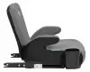 Бустер Farfello Le10 Isofix (серый/черный) icon 4