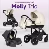 Детская универсальная коляска Farfello Molly Trio 3 в 1 (pearl) icon 3