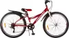 Велосипед Favorit Discovery 26VS DIS26V13CH icon