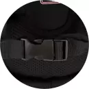 Школьный рюкзак Феникс+ Брюнетка с собачкой 68240 icon 3