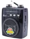 Радиоприемник Fepe FP-1325U Black icon