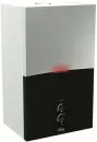 Газовый котел Ferroli Bluehelix Maxima 28C (RU) icon
