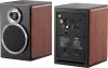 Акустика FiiO SA1 (коричневый) icon
