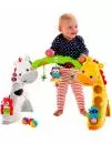 Развивающий коврик Fisher-Price CCB70 Newborn-to-Toddler Play Gym фото 3