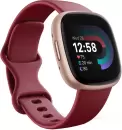 Умные часы Fitbit Versa 4 (бордовый/золотистый алюминий) icon