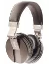 Наушники Focal Spirit Classic icon