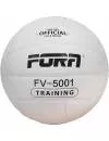 Мяч волейбольный Fora FV-5001 фото