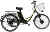 Электровелосипед Furendo E-Trike 350 зеленый icon