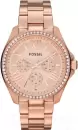 Наручные часы Fossil AM4483 icon
