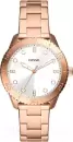 Наручные часы Fossil BQ3886 icon