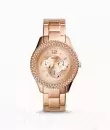 Наручные часы Fossil ES5299 icon 4