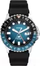 Наручные часы Fossil FS6049 icon