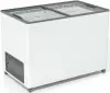 Морозильный ларь Frostor F 350 C icon
