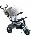 Велосипед детский Fun Trike LMX-809LBA icon