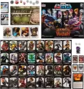 Настольная игра GaGa Games BattleCON. Погибель Индин фото 6