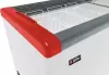 Морозильный ларь Gellar FG 250 C (красный) фото 2