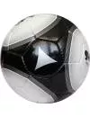 Мяч футбольный GALA Argentina (BF5003S) фото 2